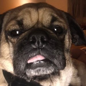 Meet your Posher, Carrie